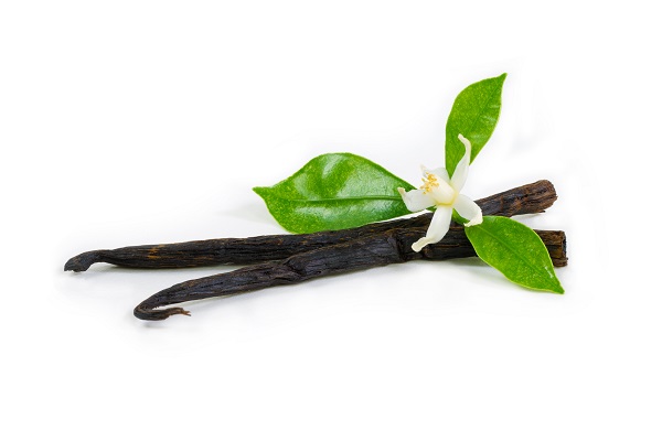 Competition to Brand Artificial Vanilla Produced Through Synthetic Biology
